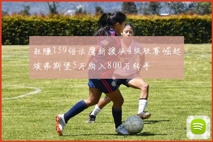 狂赚159倍法鹰新援从4级联赛崛起埃弗斯堡5万购入800万转手