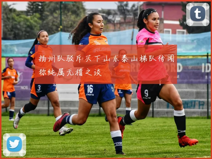 扬州队驳斥买下山东泰山梯队传闻称纯属无稽之谈