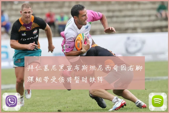 拜仁慕尼黑宣布斯坦尼西奇因右脚踝韧带受伤将暂时缺阵